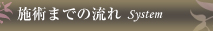 施術までの流れ System