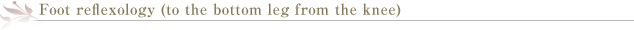 フット・リフレクソロジー（膝下から足底まで）