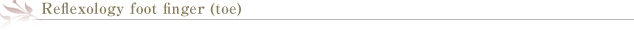 フットフィンガー・リフレクソロジー（足指）