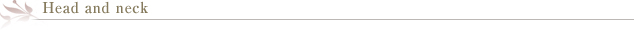 ネック&ヘッド
