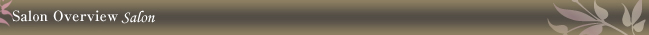 Salon Overview