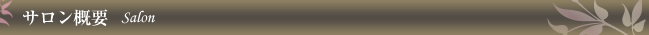サロン概要