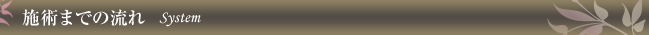 施術までの流れ System